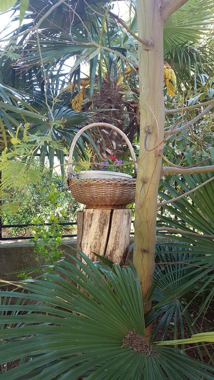 Holiday House Altea Баньоле Екстер'єр фото